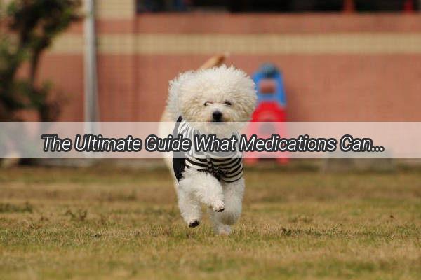  The Ultimate Guide What Medications Can Cure Your Pups Parvovirus Woes